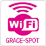 WiFi GRACE-SPOT